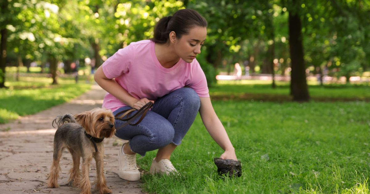 woman scooping poop atlanta