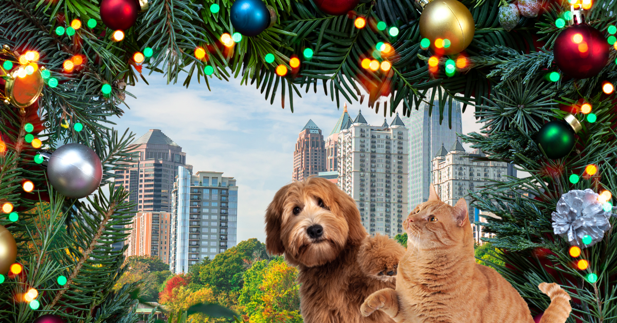 dog and cat atlanta skyline holiday pet gifts