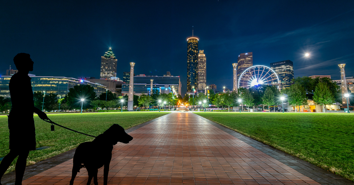 dog walker walking large dog in an atlanta park