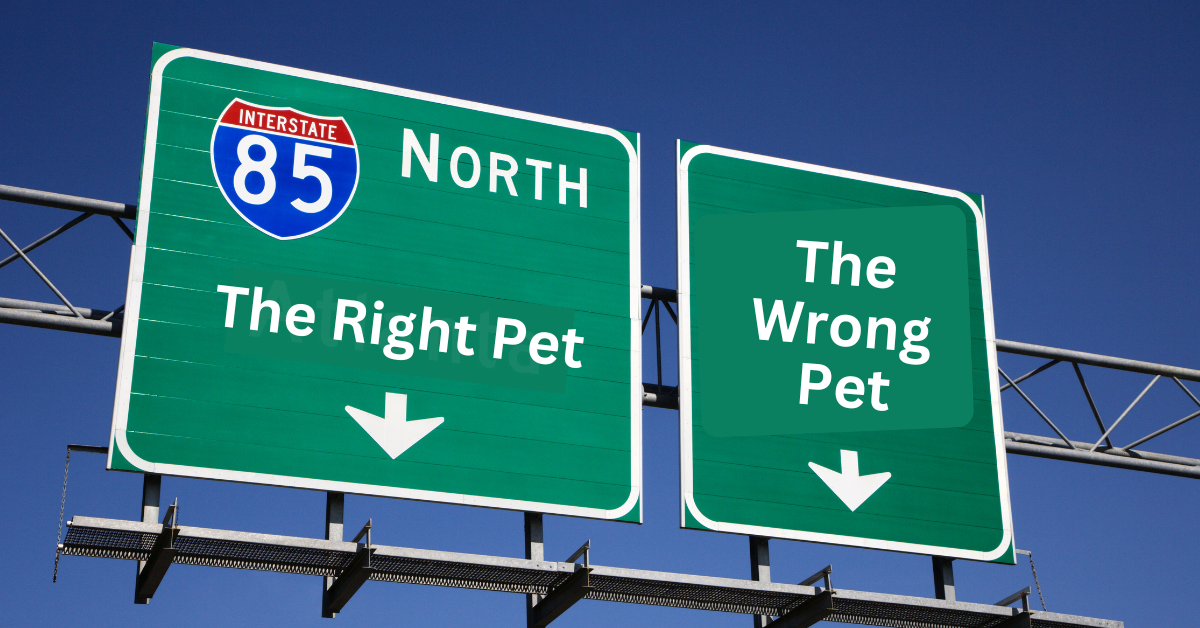 atlanta highway sign that says the right pet and the wrong pet with arrows in two directions